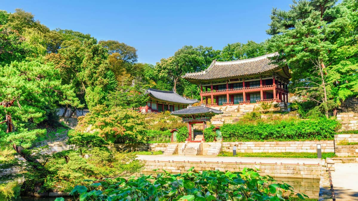 Changdeokgung Palace & Huwon Secret Garden